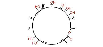 Amphidinolide B8